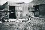 213. ID PH01_KSF_041 Anne feeding the pigs. Summer 1948. Kemps Farm, Peldon.
Anne was born 1946, to Stephen and Gil Wooldridge.
Cat1 Places-->Peldon-->Buildings Cat2 Places-->Peldon-->People