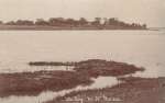 77. ID RG25_461 The Ray, West Mersea. Post card by Hammond, Gt. Totham, not mailed.
Cat1 Mersea-->Creeks, fleets, channels, saltings