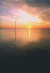21. ID RMY_OPA_037 Sunset
Cat1 Mersea-->Views