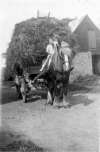 11727. ID WLD_OPA_215 1930 yard. Weir Farm ? 
Peggie Marriage on the horse
Cat1 People-->Other Cat2 Farming