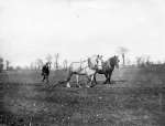 11714. ID WLD_OPA_251 Frank Marriage harrowing, Barn Field, Weir Farm, East Mersea. Easter 1932
Cat1 People-->Other Cat2 Farming Cat3 Farming