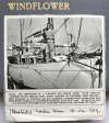  Yacht WINDFLOWER. 
 U.S.A. The completion of a 13,000 - mile sea voyage alone: Peter Tangvald standing on his English yawl after arriving in California from England. 
 Peter Tangvald, an American, has just completed a fourteen-month voyage alone from West Mersey, England to Long Beach, California, in his 45-ft yawl. He spent four days in a hurricane, forty-eight hours at the tiller without food, and broke two fingers.
</p><p>From Illustrated London News</p>
<p>There is another photograph of Peter Tangvald and WINDFLOWER at <a href=http://digitallibrary.usc.edu/cdm/ref/collection/p15799coll44/id/95422 target=wfl> http://digitallibrary.usc.edu/cdm/ref/collection/p15799coll44/id/95422</a>  WFL_201