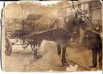 11845. ID GRP_OPA_009 Horse and cart. G. Reynolds on front of cart ?
Cat1 Transport - buses and carriers