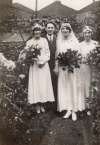 74. ID KGF_253 Wedding of Arthur Transvaal Greenleaf and Edith Mabel Spurgeon.
Cat1 Families-->Greenleaf