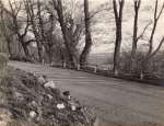 Hove Hill, Coast Road, before it was widened and given a pavement.  UPA_051_021
