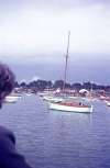 827. ID MGA_SB1_036 Boats at West Mersea Hard. 'Water Th... 1963' on slide. 35mm slide by Jean Booth.
Cat1 Mersea-->Old City & the Hard