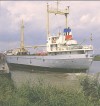  JENNIFER leaving Rowhedge Wharf, River Colne. Built 1966 Seitas, Hamburg, 499 tons gross. IMO No. 6616887.
Capsized and lost near Masirah 17 May 2000.  SHP_STC_596